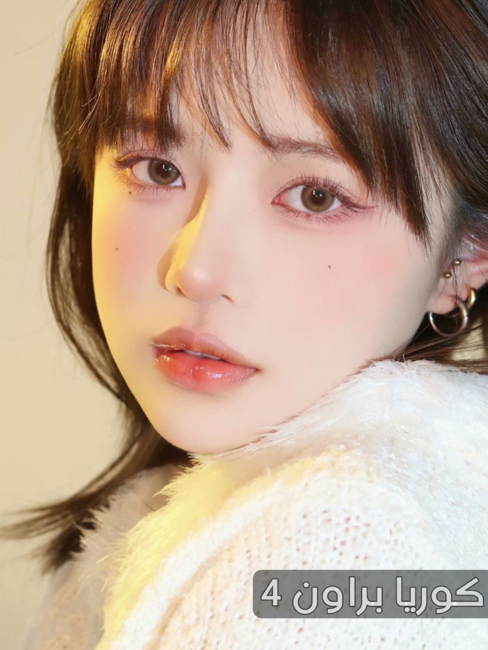 4 كوريا براون