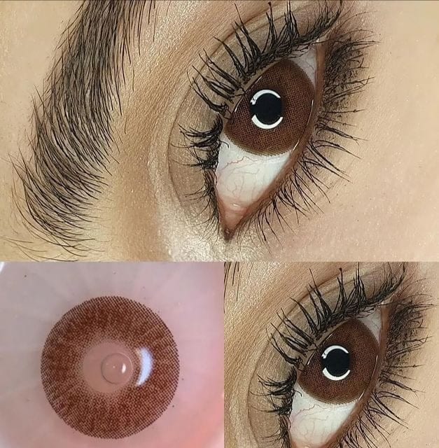 6 رويال شوكليت