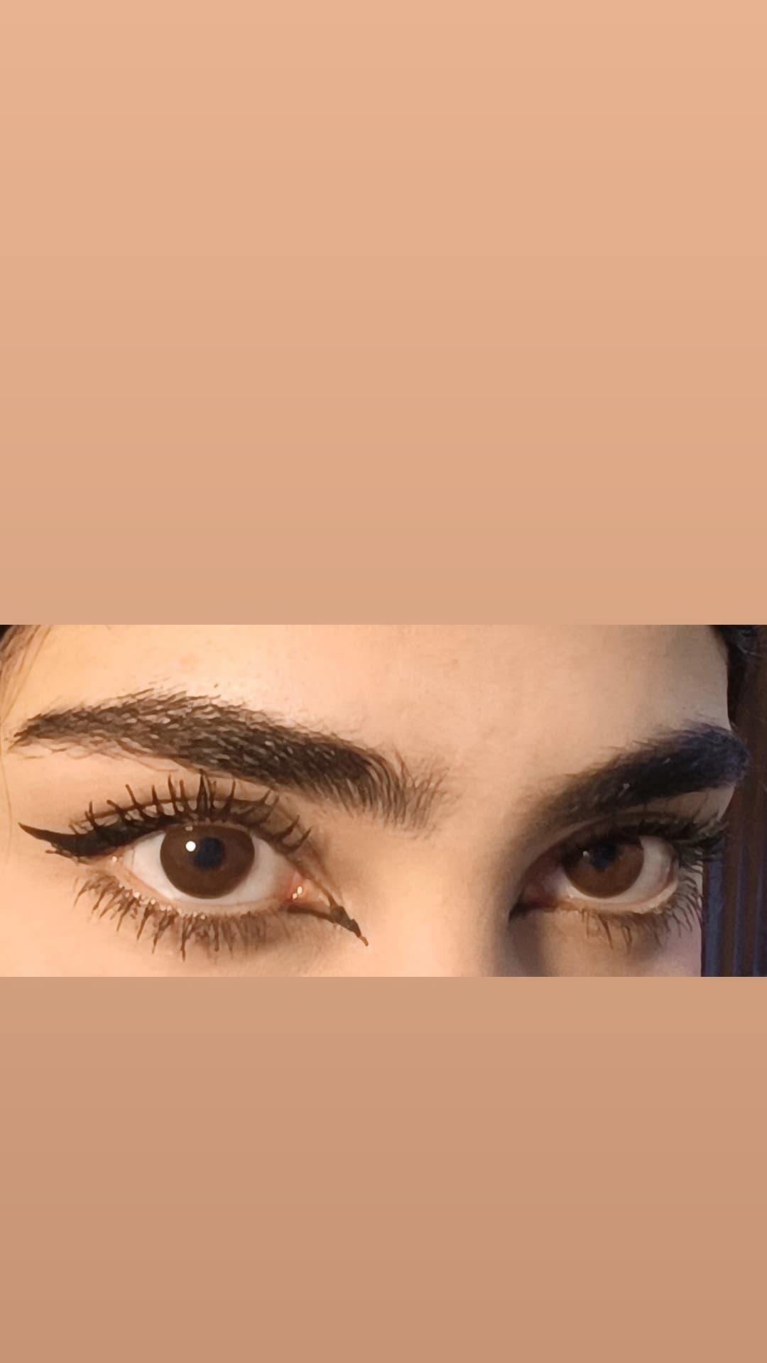 6 رويال شوكليت