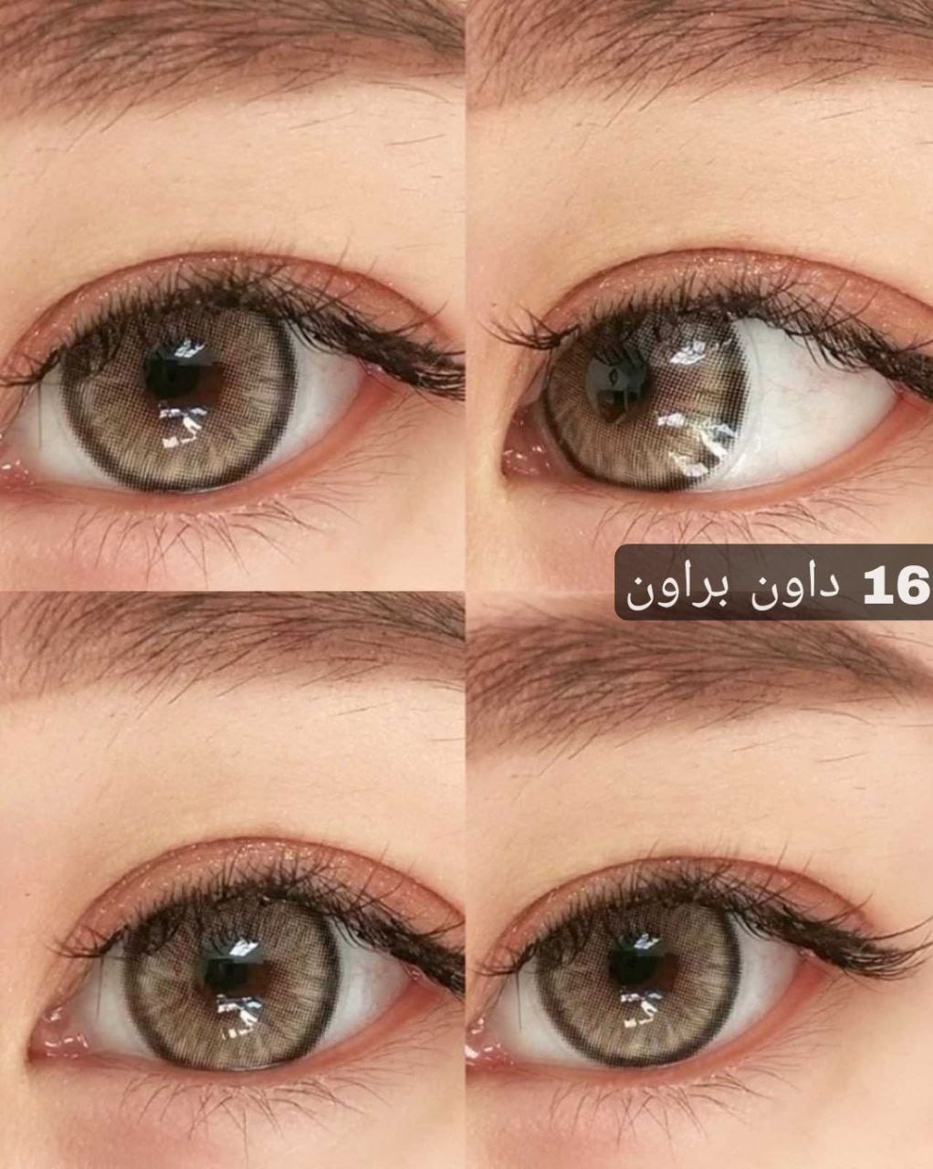 16 داون براون