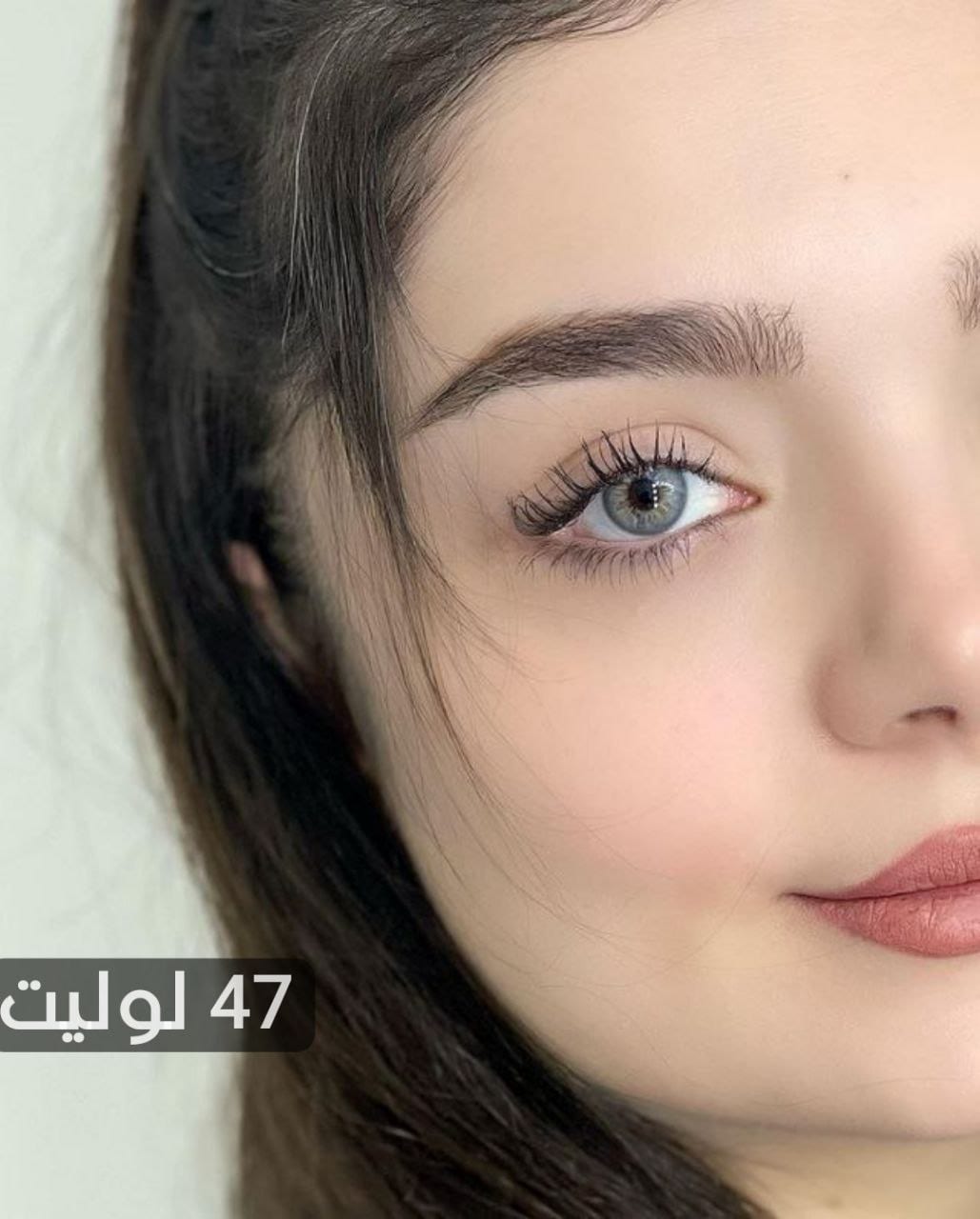 47 لوليت