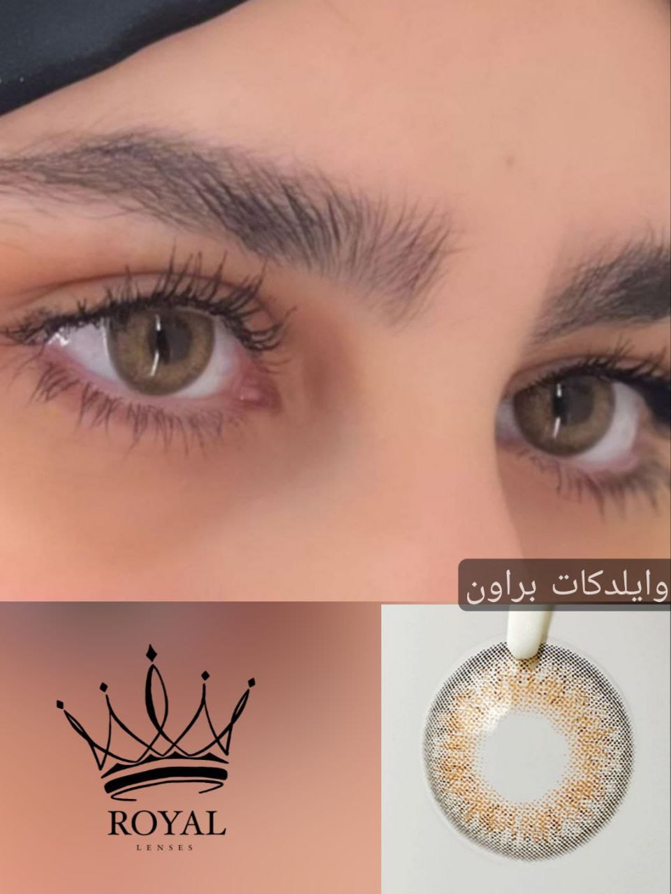 وايلدكات براون
