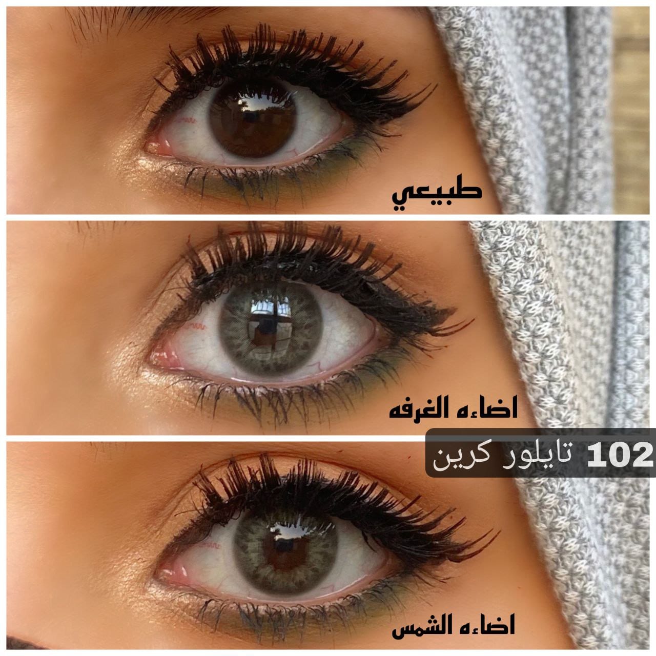 102 تايلور كرين