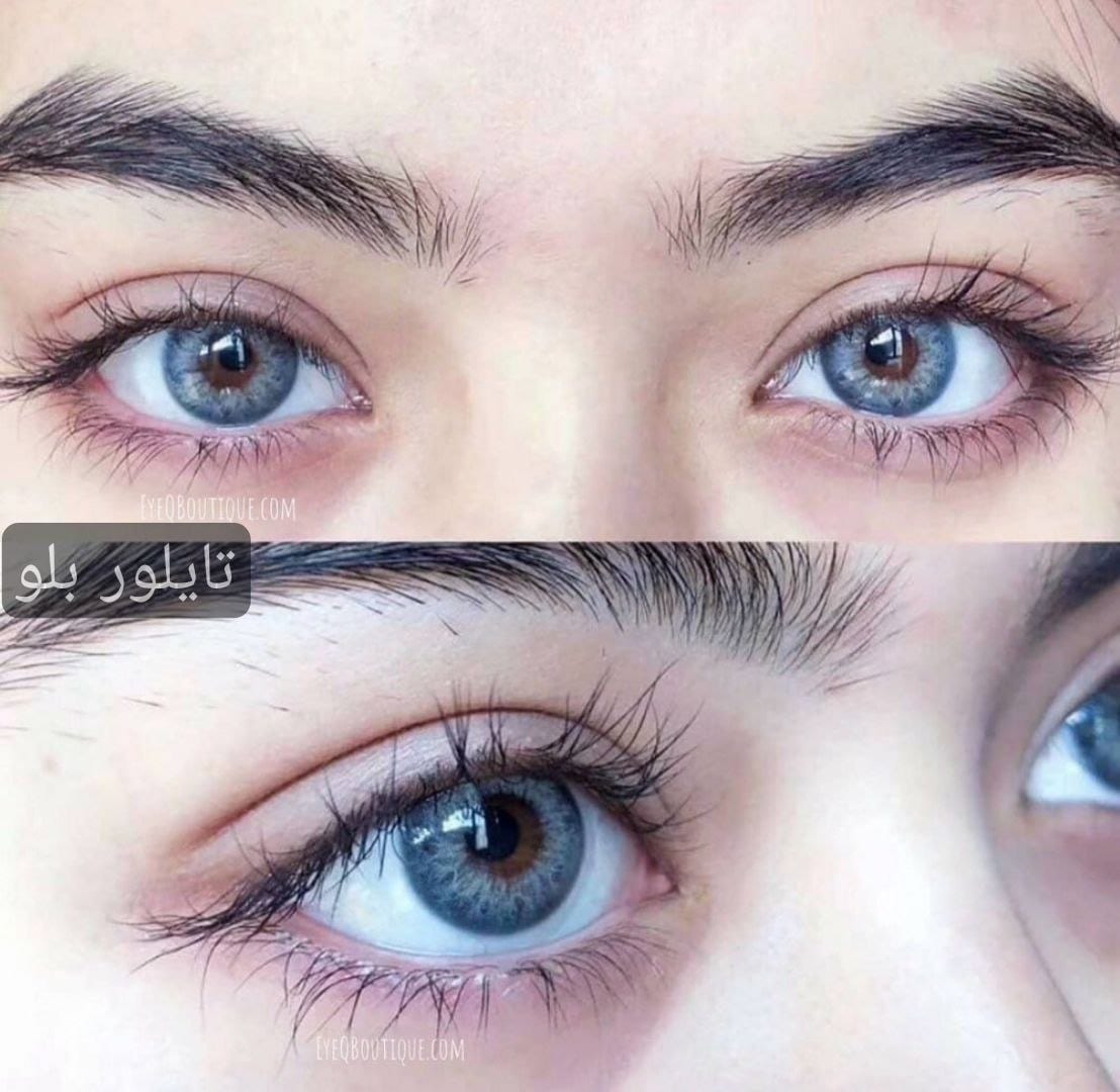 تايلور بلو