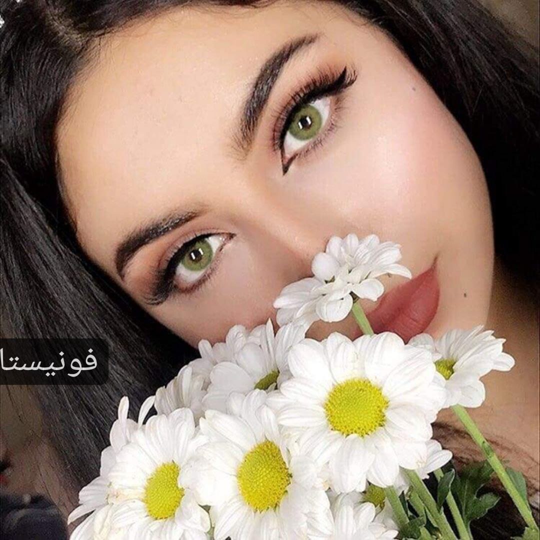 فونيستا