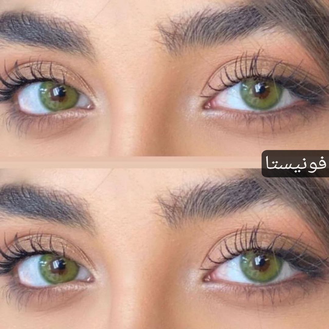 فونيستا