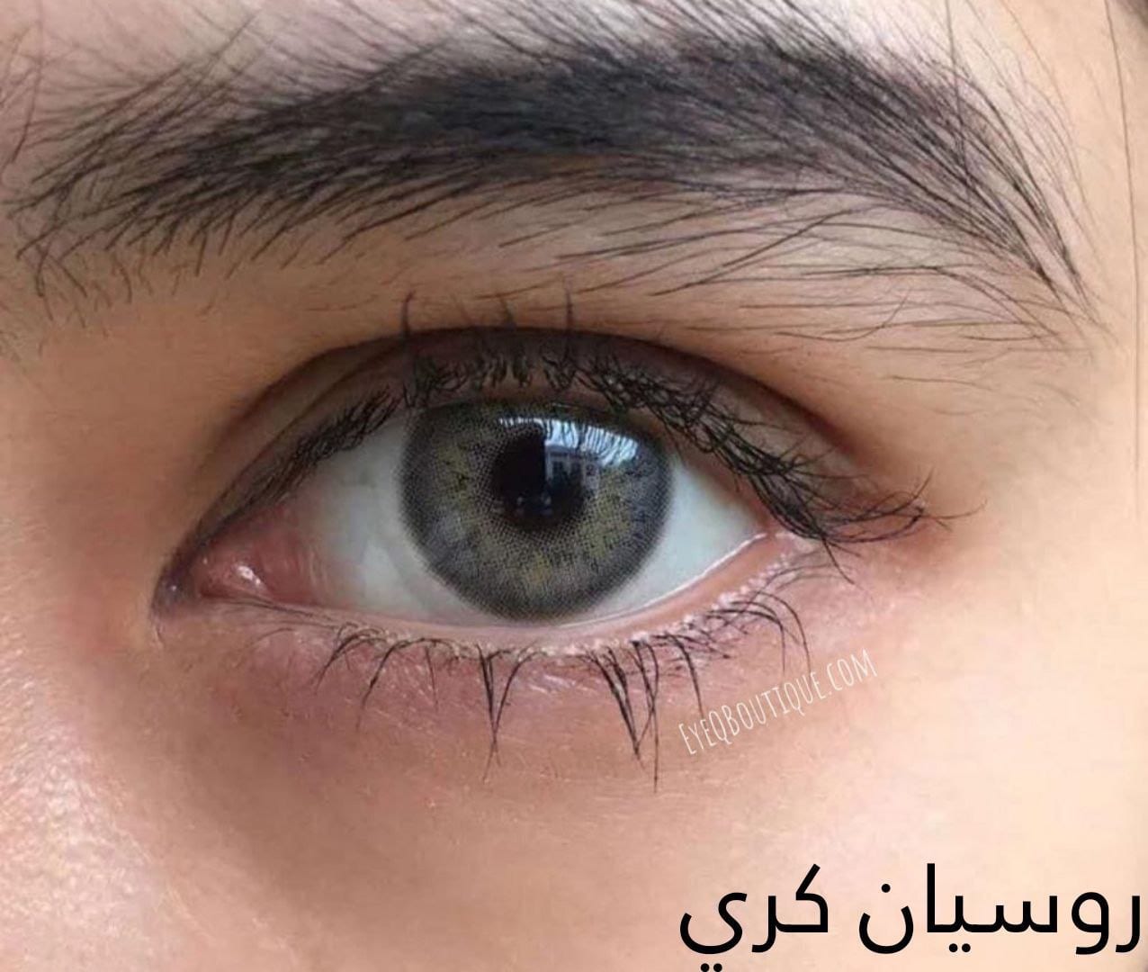 روسيان كري 29